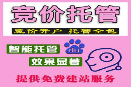 信息流托管服务应用案例解析